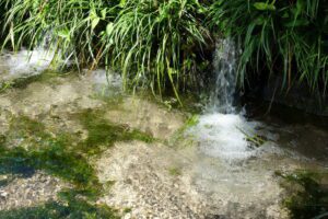 たじこのプロフィール写真