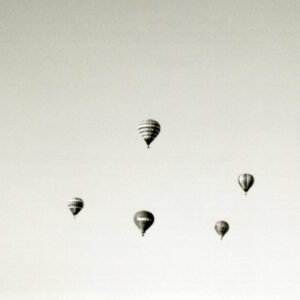 みどりのプロフィール写真